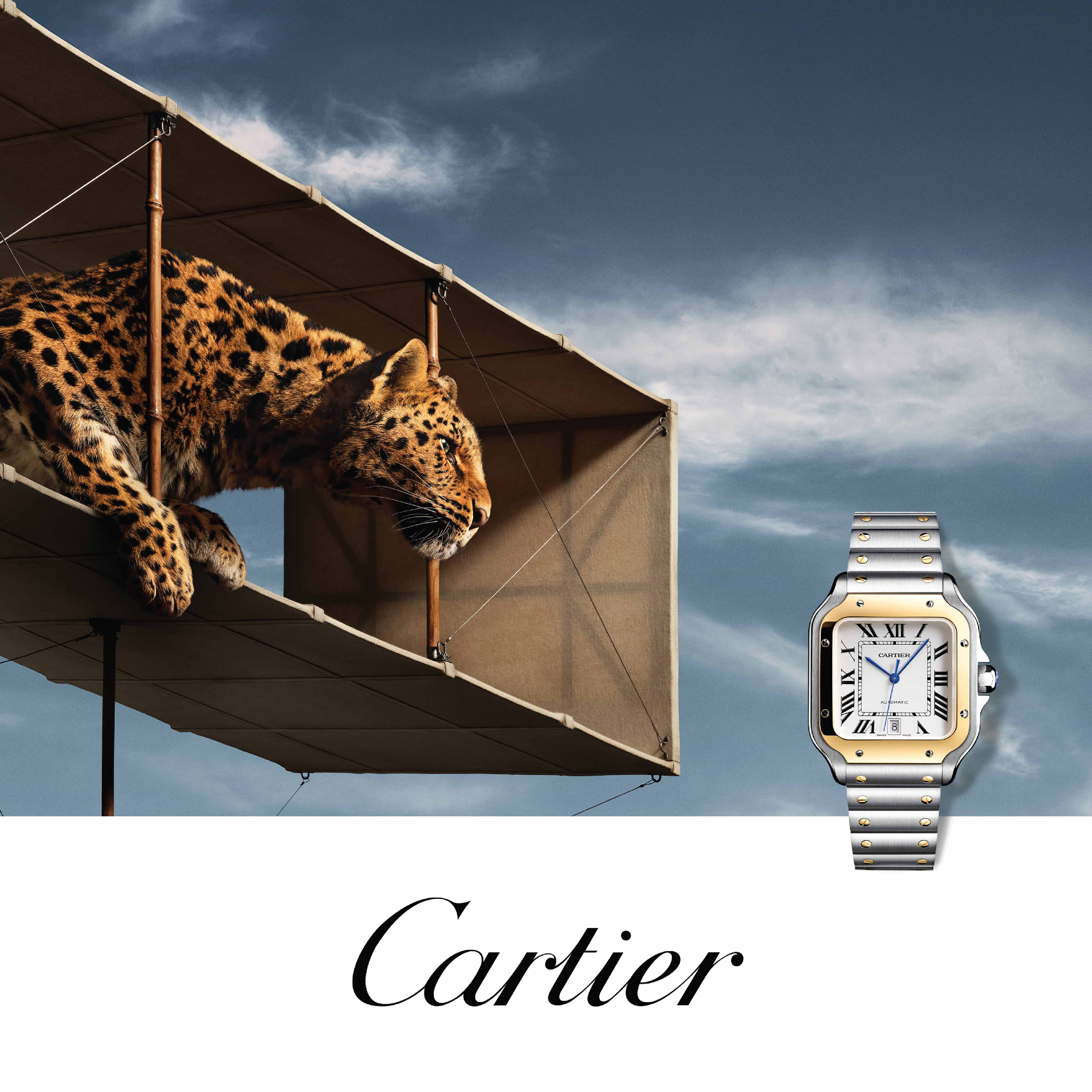 Saint Cross Saint Cross